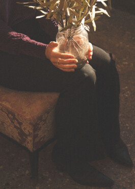 Arianna Cavalensi